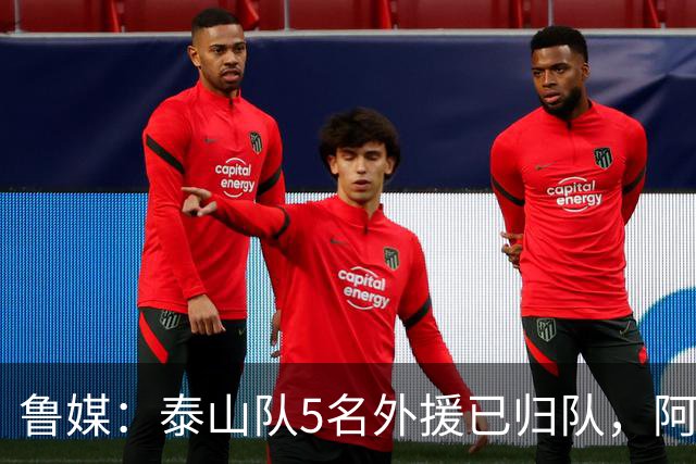 鲁媒：泰山队5名外援已归队，阿尔瓦罗6月份复出难度比较大
